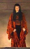 armand6.jpg